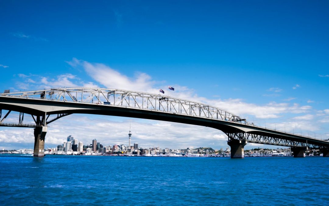 Theo Tsiolas – University of Auckland