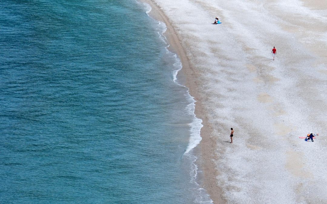 Anna Lewis – University of Otago