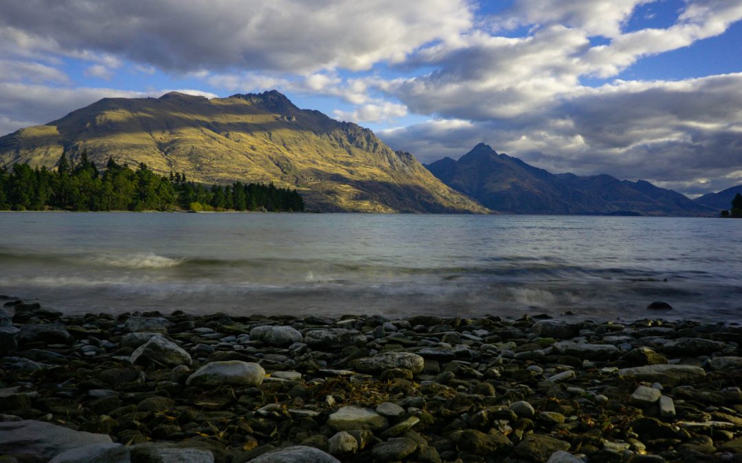 Sally Freedman – Griffith University