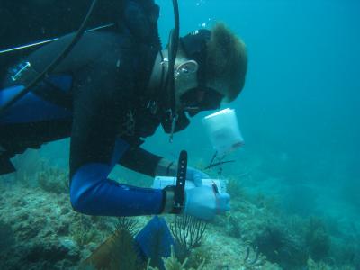 Ben Young – academia